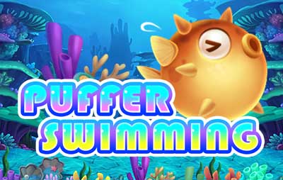 Puffer Swimming